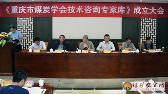 重慶煤炭學會聘請80名技術咨詢專家，為行業高質量發展注入新動能